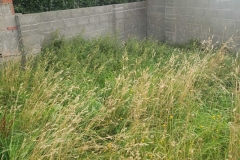 12-e1778671079663