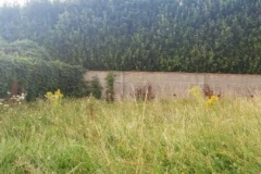 13-e1778671029525