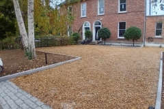 3-e1778671484970