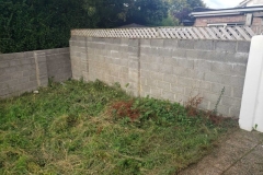 8-e1778671268309