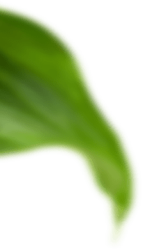 main-slider-three-shape