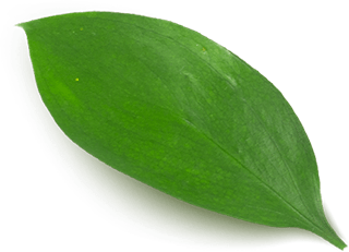 main-slider-three-shape