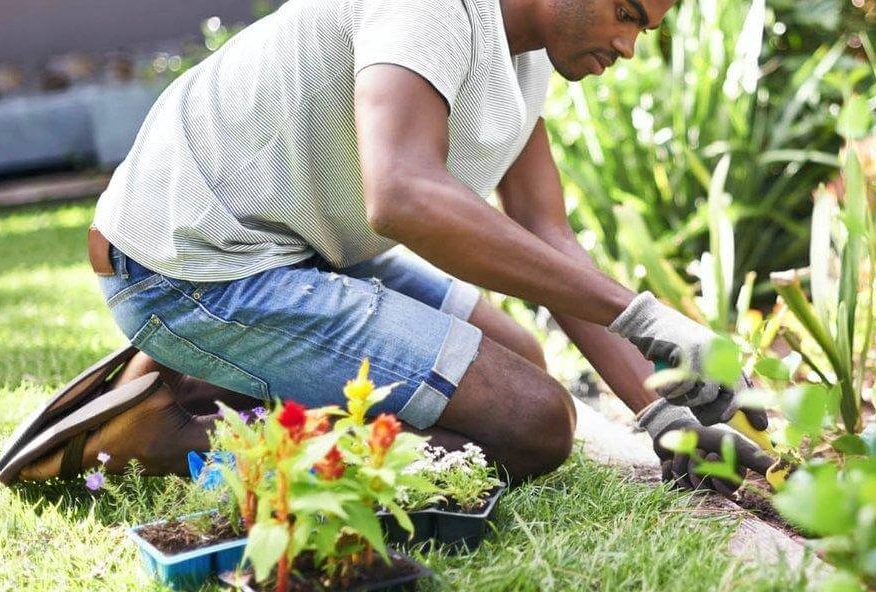 garden maintanence Dublin